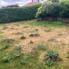 before landscaping began